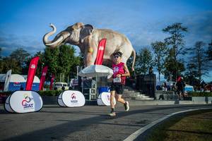 BIB: 
                            <button type="button" onclick="openModal(26541674)" class="btn btn-primary btn-sm float-right btn-popup" data-toggle="modal" data-target=".modal-high-quality">
                        <i class="fas fa-shopping-cart"></i> Add to Cart
                    </button>
                                            <button type="button" onclick="isThisMe(26541674, true)" class="btn btn-success btn-sm float-right btn-popup btn-isme hidden" data-toggle="tooltip" data-placement="bottom" title="นี่คือรูปของคุณใช่ไหม คลิกที่นี่เพื่อเอาเข้าอัลบั้ม">
                        <i class="fas fa-plus"></i> Add to album
                    </button>
                    <button type="button" onclick="isThisMe(26541674, false)" class="btn btn-warning btn-sm float-right btn-popup btn-isnotme hidden">
                        <i class="fas fa-ban"></i> Remove from album
                    </button>